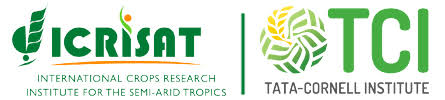 ETO Logo